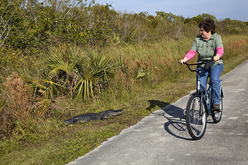 Dieser hier fl&ouml;&szlig;t doch ...