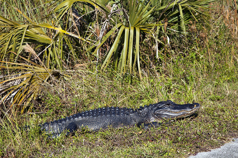 ... mehr Respekt ein
