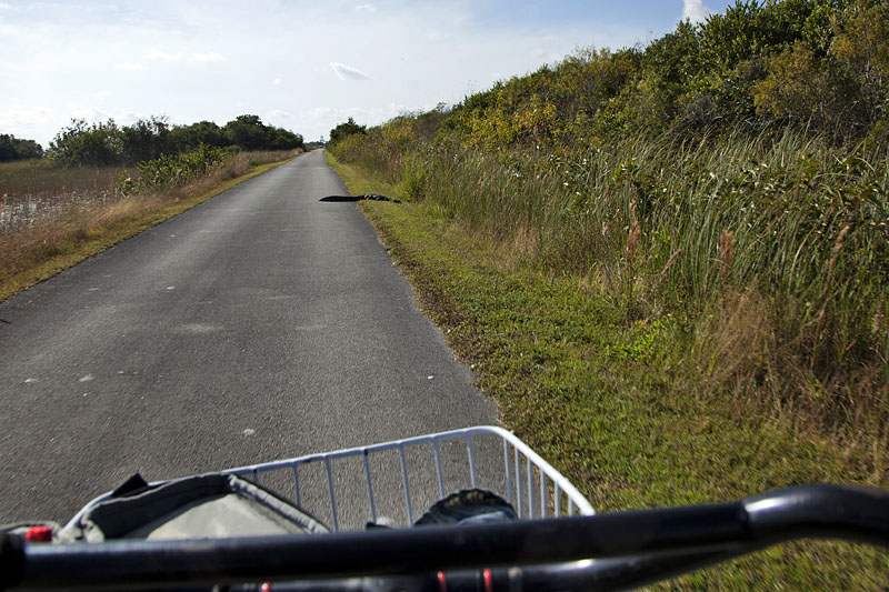 Ausweichen oder dr&uuml;berspringen? ;-)