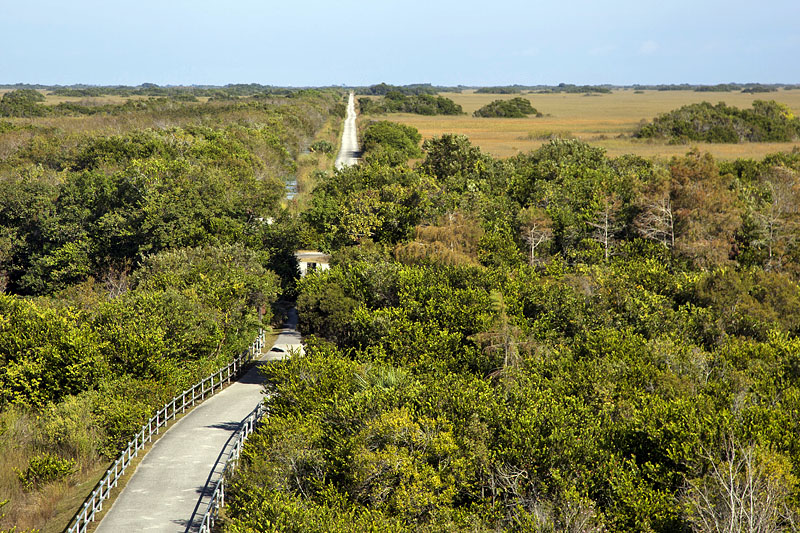 Der Weg, auf dem wir hierher gefahren sind