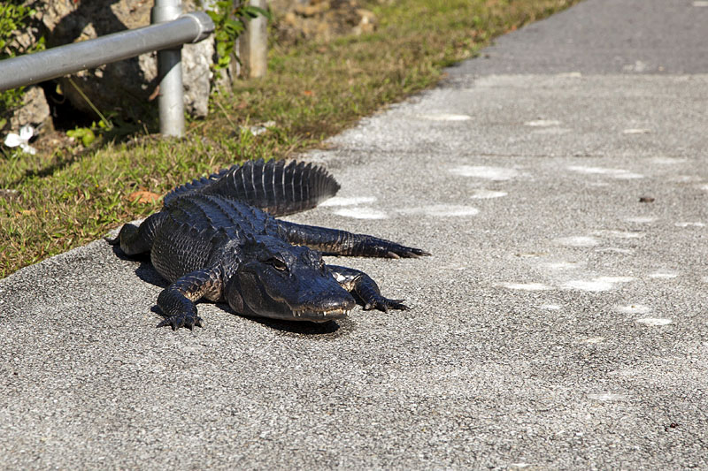Der R&uuml;ckweg zum Fahrrad ist etwas t&uuml;ckisch ;-)
