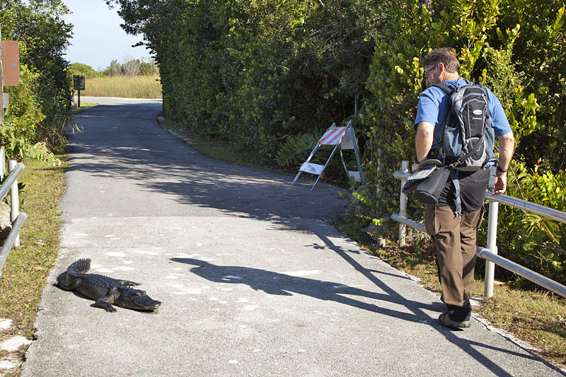 Lieber etwas Abstand halten ;-)