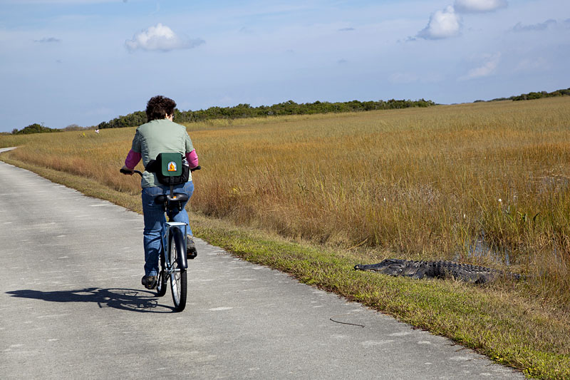 ... es gibt immer wieder &Uuml;berraschungen ;-)