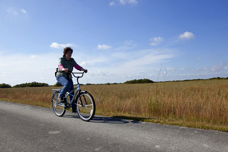 Au&szlig;er gefr&auml;&szlig;igen Reptilien ...