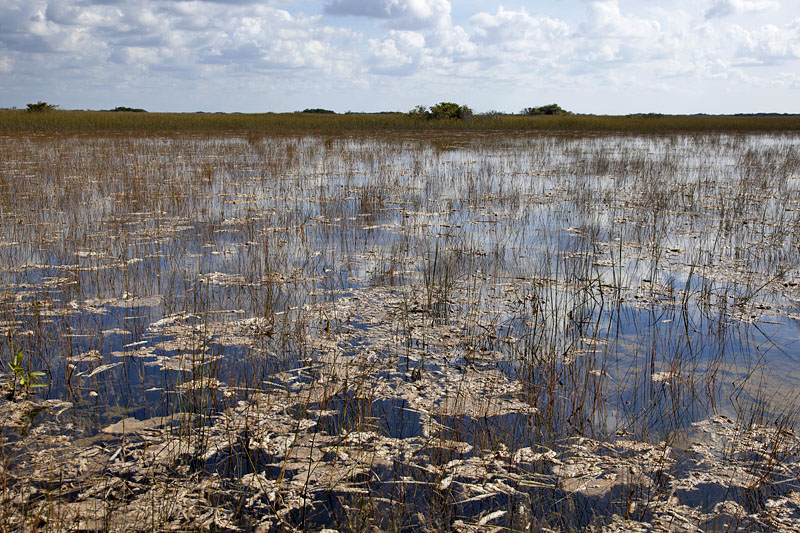 Im Laufe des Dezembers trocknet das alles aus