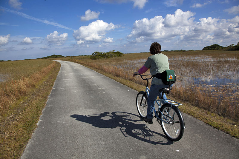 Die Gators werden nun weniger ...