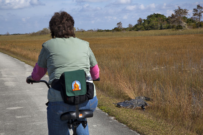 Ach, diese Burschen hatten wir schon fast vergessen ;-)