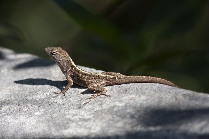 OK, nicht ganz so spektakul&auml;r, wie die gr&ouml;&szlig;eren Br&uuml;der und Schwestern ;-)