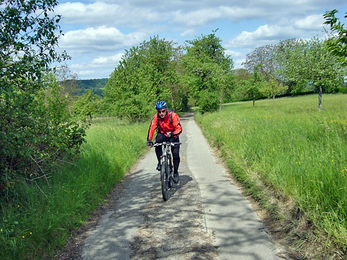 Radweg bei K&ouml;nigstein