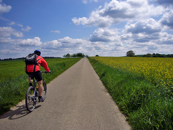 Rapsfelder s&auml;umen den Weg