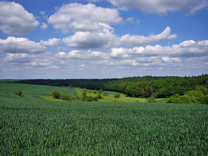 ... Felder und W&auml;lder ...