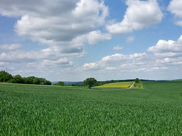 ... und sch&ouml;ne Wege durch die Natur
