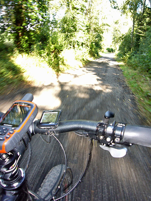 Durch den Wald von Hohenwettersbach nach Durlach