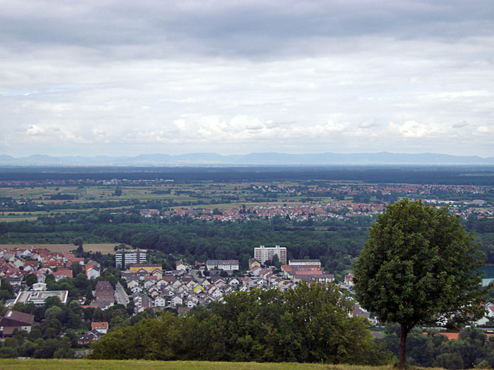 Blick ins Rheintal