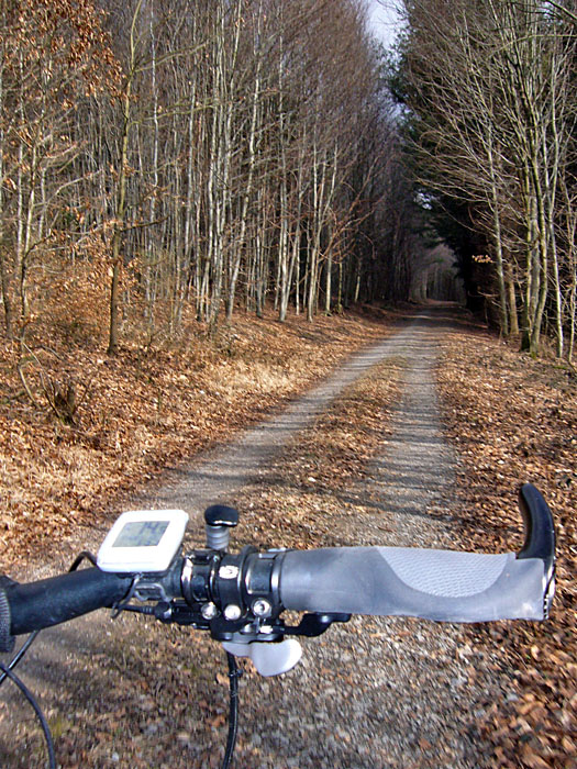 ... nun sind die Waldwege endlich wieder frei