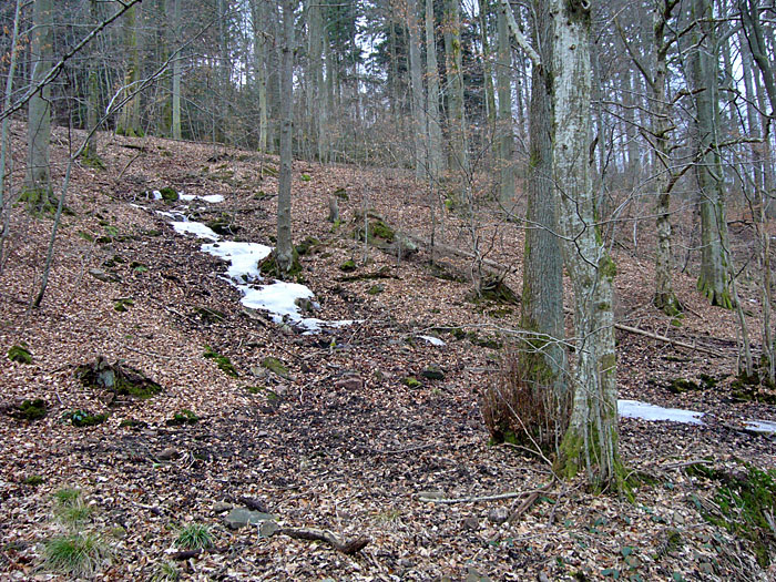 Zumindest fast alle B&auml;che ;-)