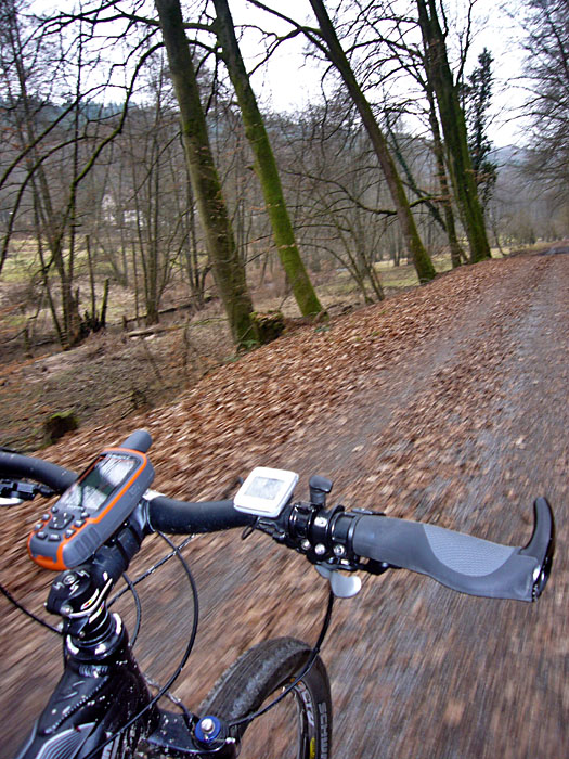 Auf dem Graf-Rhena-Weg