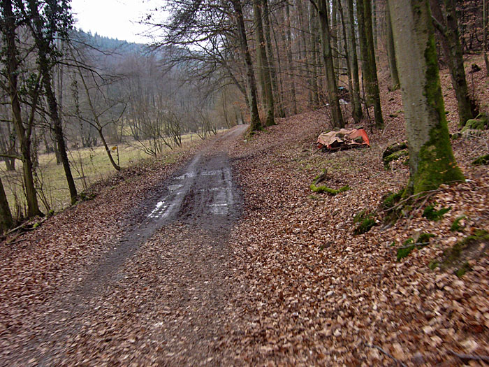 Ab und zu muss man etwas Matsch queren