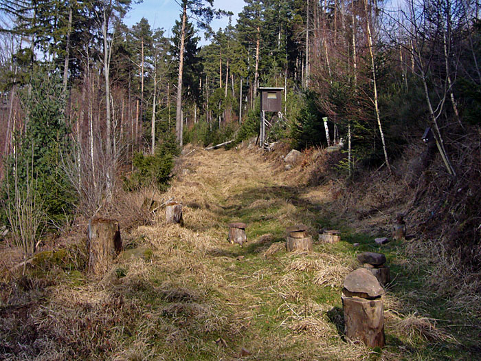 Der Weg wird immer schlechter ...