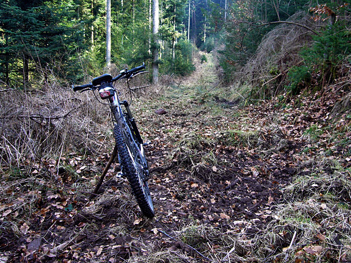 ... hier musste ich schieben :-(