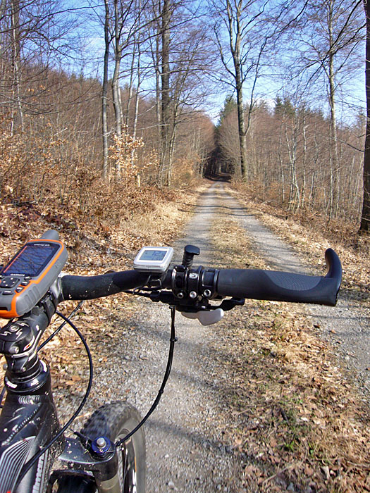 Wo die Sonne hinkommt, sind die Waldwege trocken