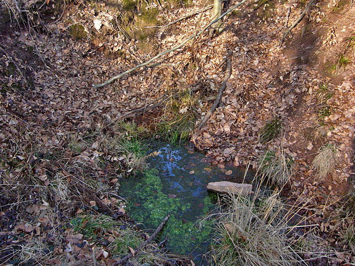 ... findet man nicht gerade viel Wasser