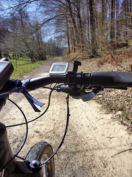 Auf dem Graf-Rhena-Weg