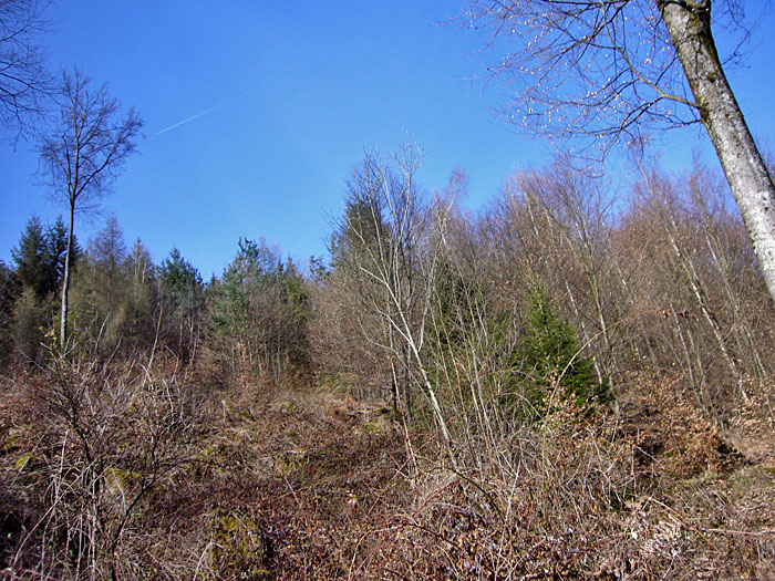 Sch&ouml;ner Sonnenschein, aber kalt