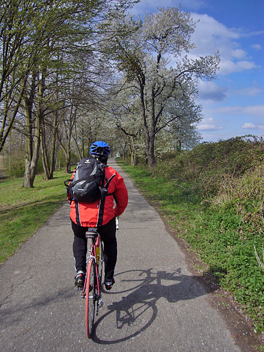 ... dadurch l&auml;uft meine Nase und die Augen tr&auml;nen :-(