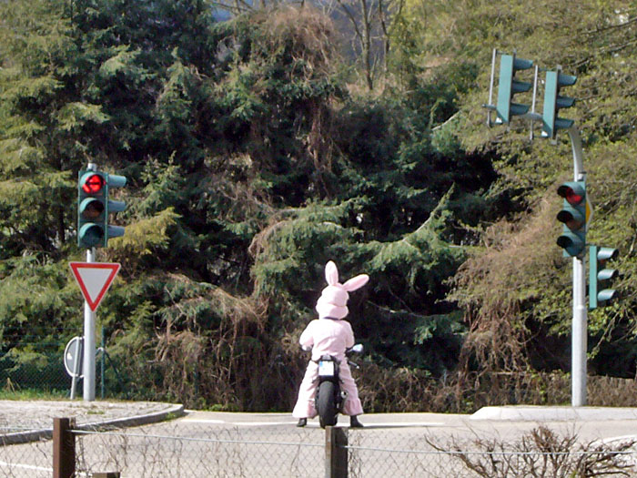 Den Osterhasen haben wir auch gesehen ;-)