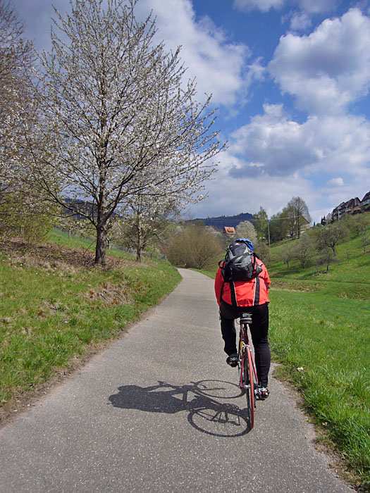 Auffahrt nach Loffenau