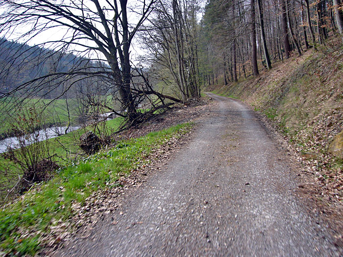 Auf dem Graf-Rhena-Weg