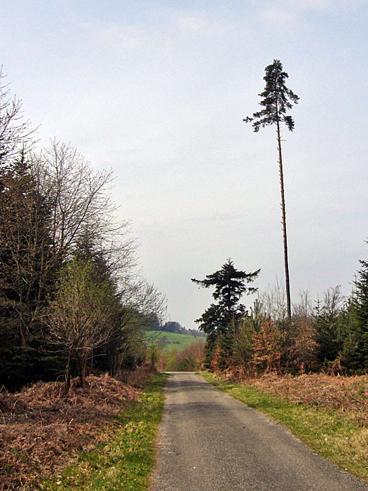 Hinter dem H&uuml;gel