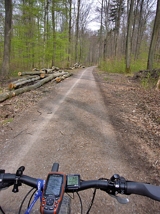 Abfahrt ins Pfinztal