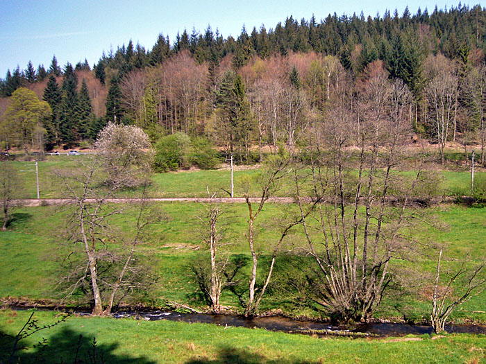 Endlich wird es gr&uuml;ner