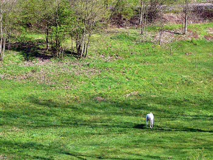 ... &uuml;ber das Sommerwetter