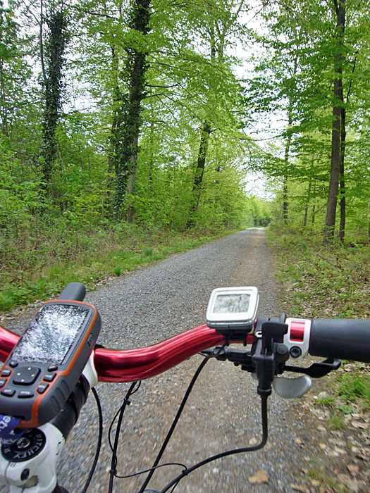 Waldweg nach Mutschelbach