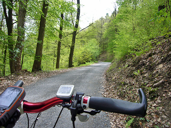 Auf dem Graf-Rhena-Weg - fast wieder zuhause