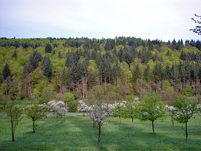 Endlich wieder Farbe