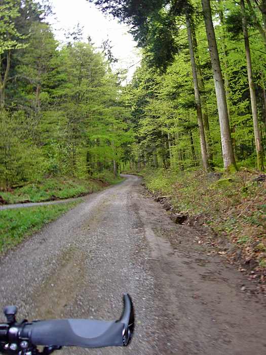 Anstieg zum K&auml;ppele