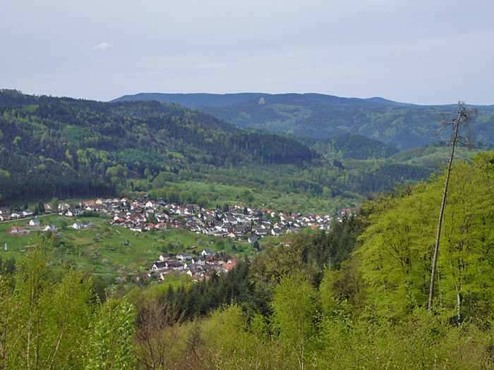 Blick auf Loffenau