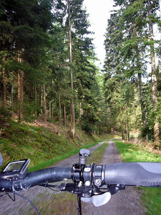 Abfahrt nach Bad Herrenalb