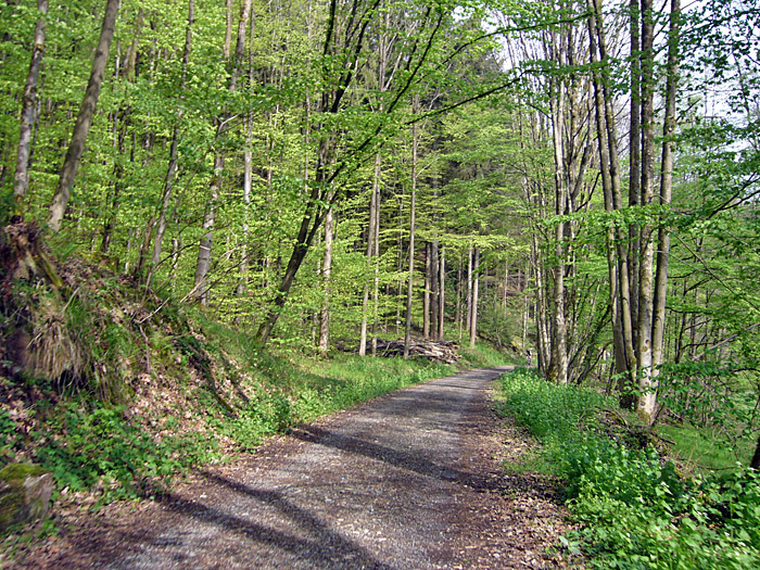 Auf dem Graf-Rhena-Weg