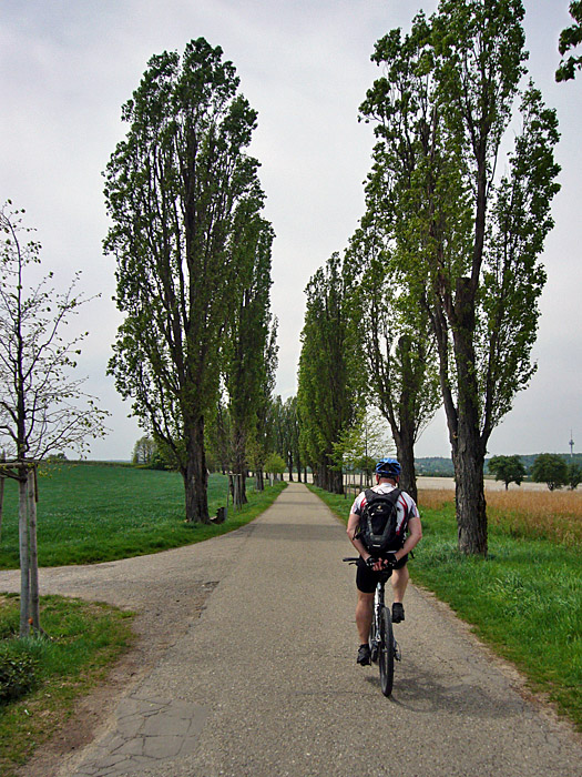 Fast wie in der Toskana