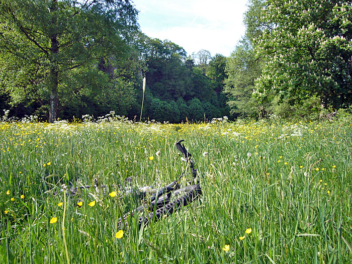 Rad ist m&uuml;de ;-)