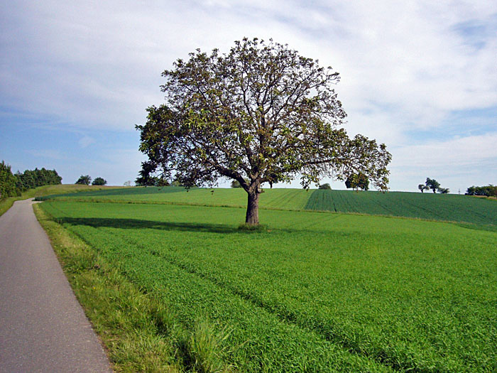Fahrt zum Treffpunkt ...