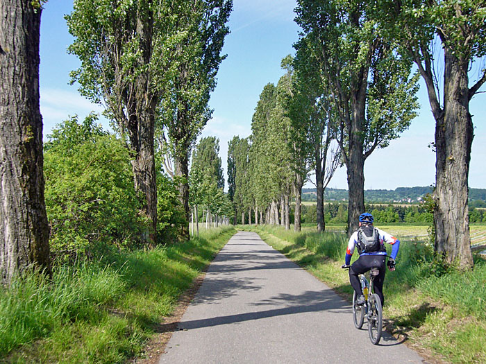 Durch die Pappelallee