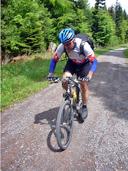 ... nach Dobel hinauf