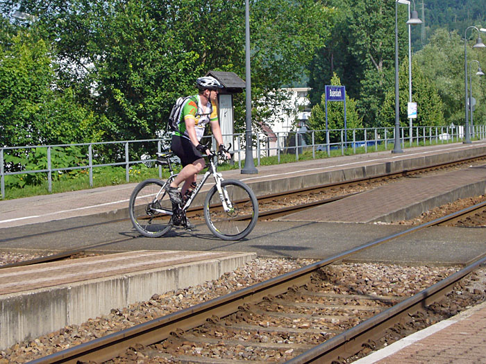Waldi kommt zum Treffpunkt