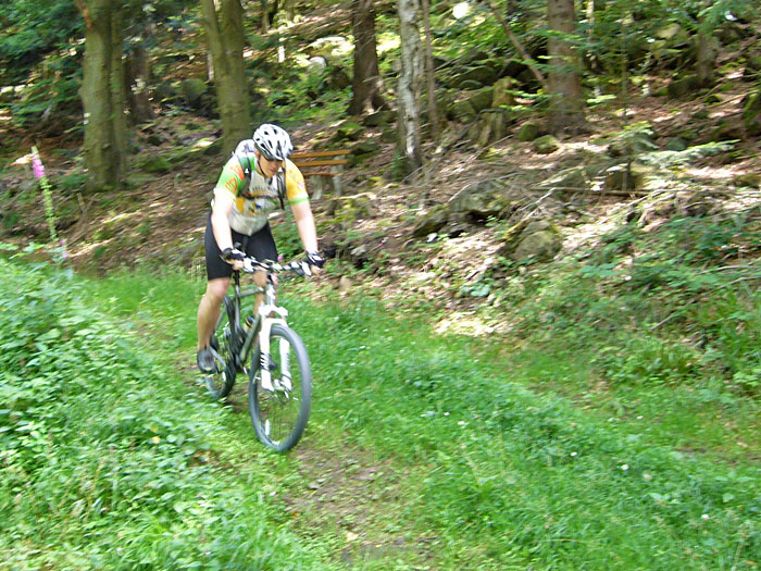 Abfahrt durch den Wald